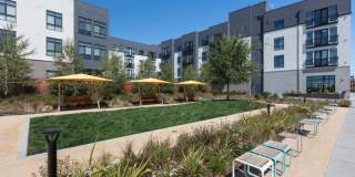 The Apartment Collection at Bay Meadows Gallery 21