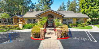 Elan Felicita Creek Elan Felicita Creek Gallery 12
