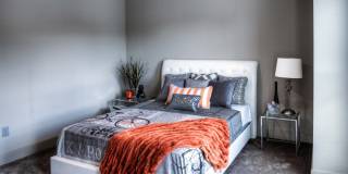 Sycamore Apartments Gallery 14