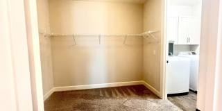 242 ORCHARD Lane Gallery 20