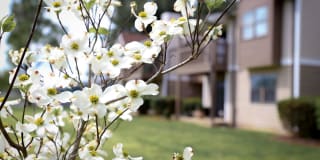 Sussex Downs Gallery 75