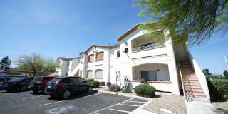 SHOWINGS AVAILABLE NOW Gallery 1