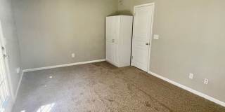 RoyalCeladon6454 Gallery 22