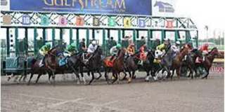 3600 YACHT CLUB DR Gallery 17