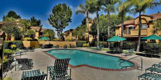 Resort living in Siena Hills-Condo with Pool, Gym and more! Gallery 8