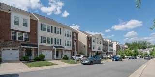 5004 FOREST PINES Drive Gallery 4