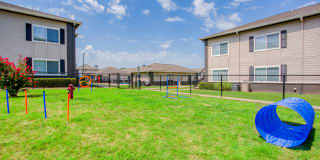 The Carlyle Gallery 20