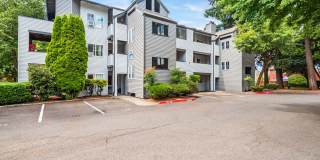 Mountain Meadows Gallery 29