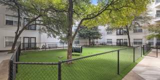 5 Mockingbird Gallery 33