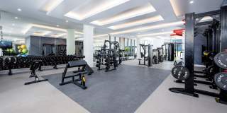 Harbour at New River Gallery 7