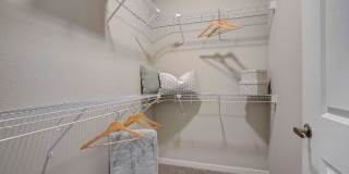 Springs at McKnight Lake Springs at McKnight Lake Gallery 11