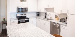 Magnolia at West Lemmon Gallery 23