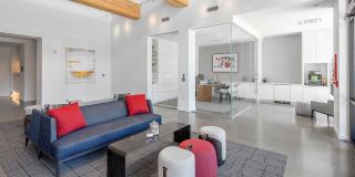 Solace Gallery 29