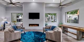 Ventura Vista Gallery 27