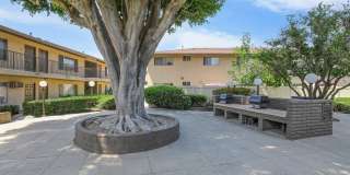 San Carlos & San Juan Apartment Homes Gallery 11