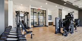 The Kempson Gallery 25