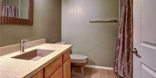 10809 Garden Mist Drive Gallery 15