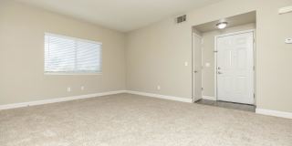 Avery at TownCentre Gallery 75