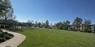 8224 Shay Cir Gallery 38