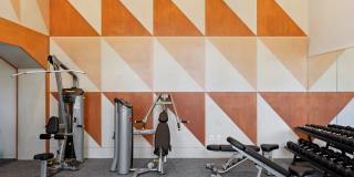 Esox House Gallery 45