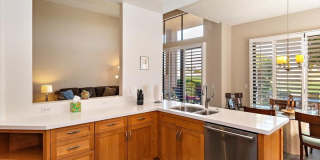 54838 Oak Tree Gallery 20