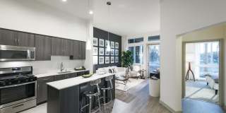 Beach & Ocean Gallery 1