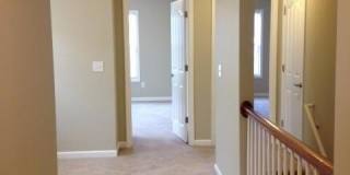 3204 Sweet Clover Lane Gallery 38