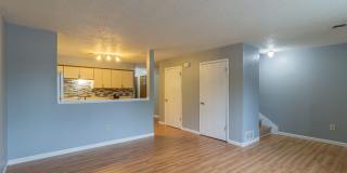 Recently Updated! Gallery 1