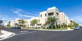 177 Carmine - 1 Gallery 10
