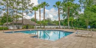 13402 LONG CYPRESS Trail Gallery 76