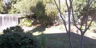 8124 Pinefield Dr Gallery 17