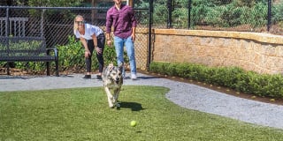 Artisan Station Apartments Gallery 20