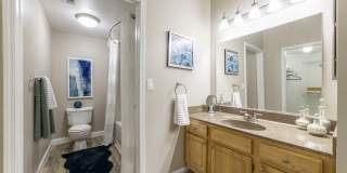 Canyon Vista Gallery 21