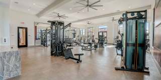 Ilumina Zephyrhills Gallery 8