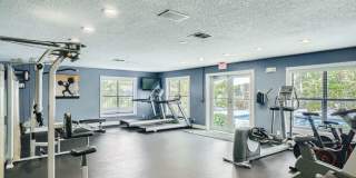 Spectra at Tamarac Gallery 22