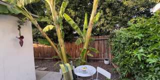 4773 Sierra St Gallery 1