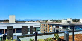 Our Newest Luxury Studios in Ballard! Gallery 27