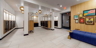 The Mason Gallery 52