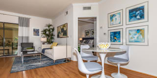 The Orsini Gallery 91