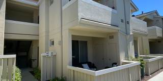 Recently Upgraded, Bi-Level Condo Downtown Coming Soon! Gallery 1