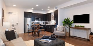 Senior Housing- Palmia, Age 55+ Luxury Apartments Gallery 4