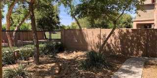 4642 S CARMINE Gallery 42