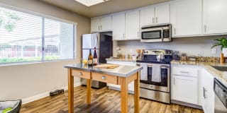 Aliso Creek Gallery 15