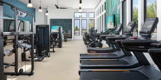 Homecoming at The Resort Apartments Gallery 52