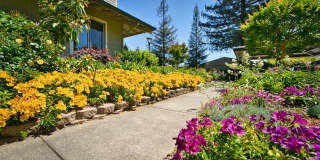 Riverwood Gallery 13