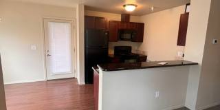 BC11159 Gallery 5