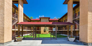 Don Quixote Gallery 2