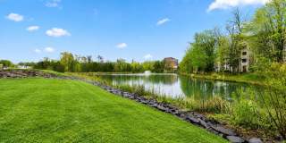 1708 LAKE SHORE CREST Drive Gallery 24