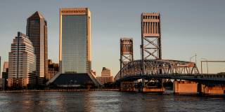 Coral Palms at Oakleaf Gallery 27