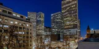 The Profile Gallery 14